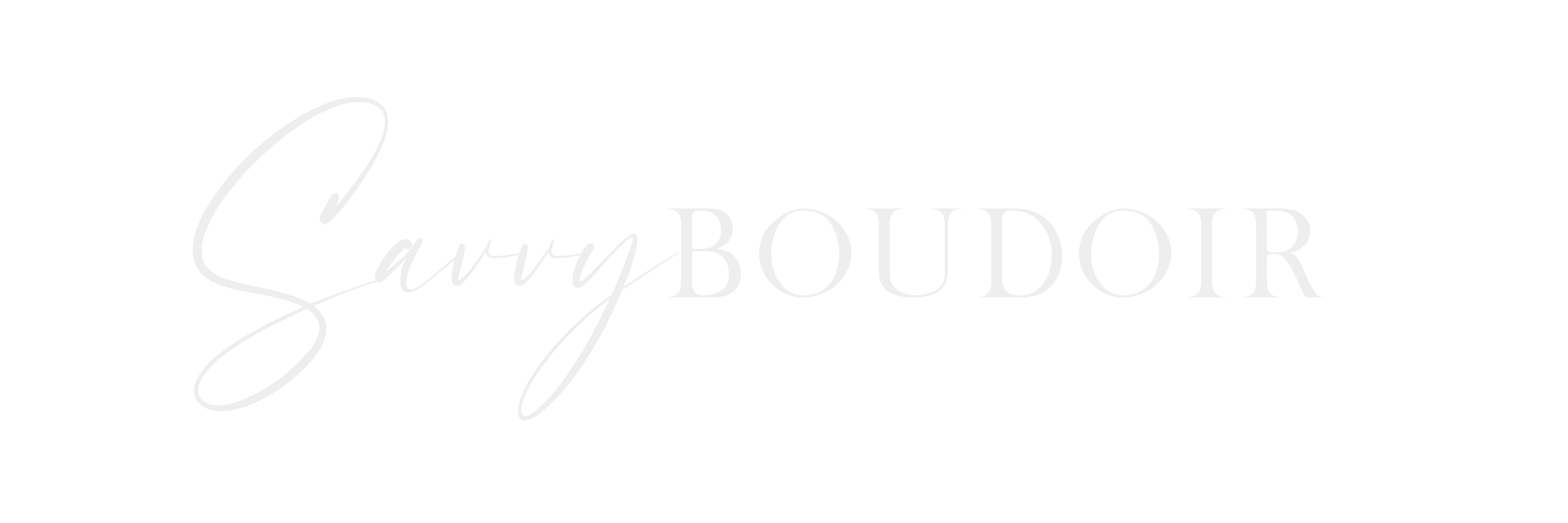 Savvy Boudoir